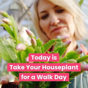 Walk Your Houseplant Day