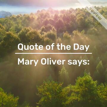 Quote of the Day