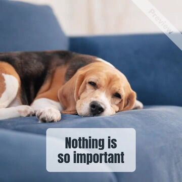 Lazy Saturday #LazyDay