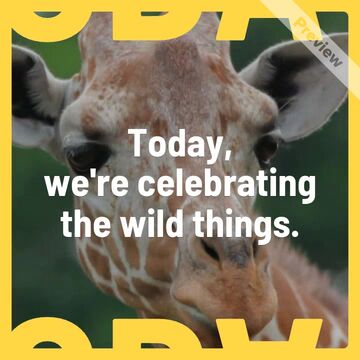 Celebrate the Wild with [Your Brand]