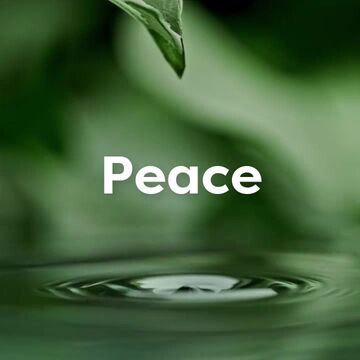 A Little Peace Goes a Long Way