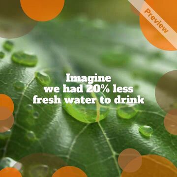 World Rainforest Day