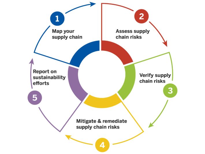 Infographic with the 5 risk management steps amfori supports companies with.