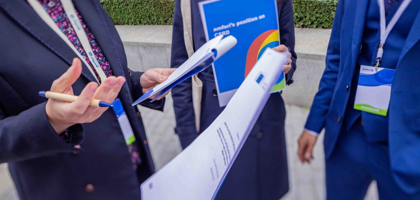 CSRD ESRS verstehen: Was Sie über die EU Sustainability Reporting Standards (ESRS) wissen müssen