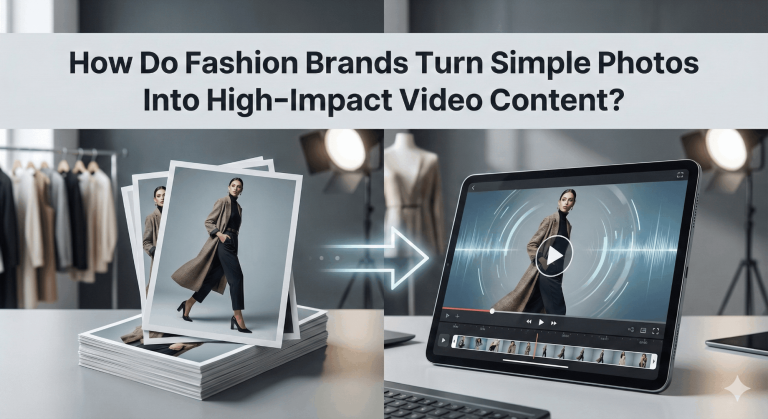 Fashion Brands