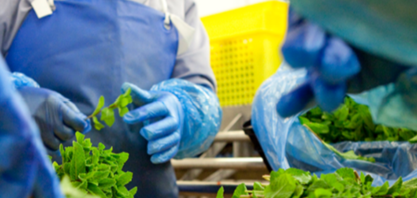 The agri-food journey from box-ticking to real resilience